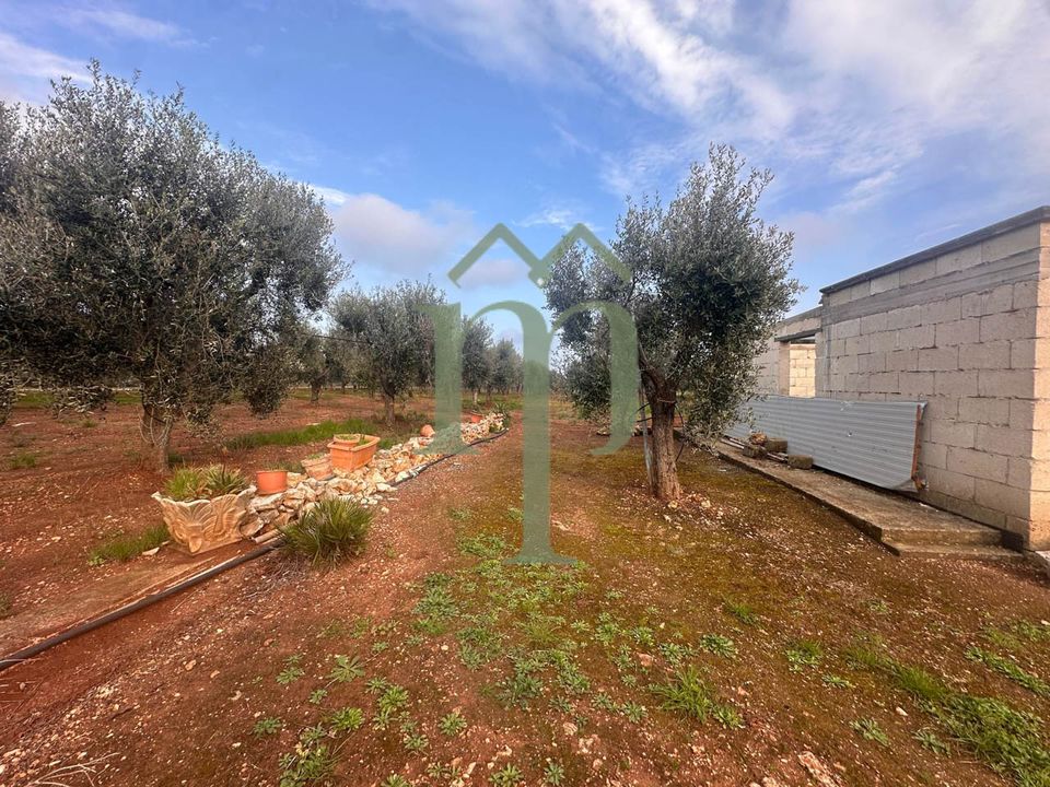 Herregård i Carovigno, Brindisi - bilde 5